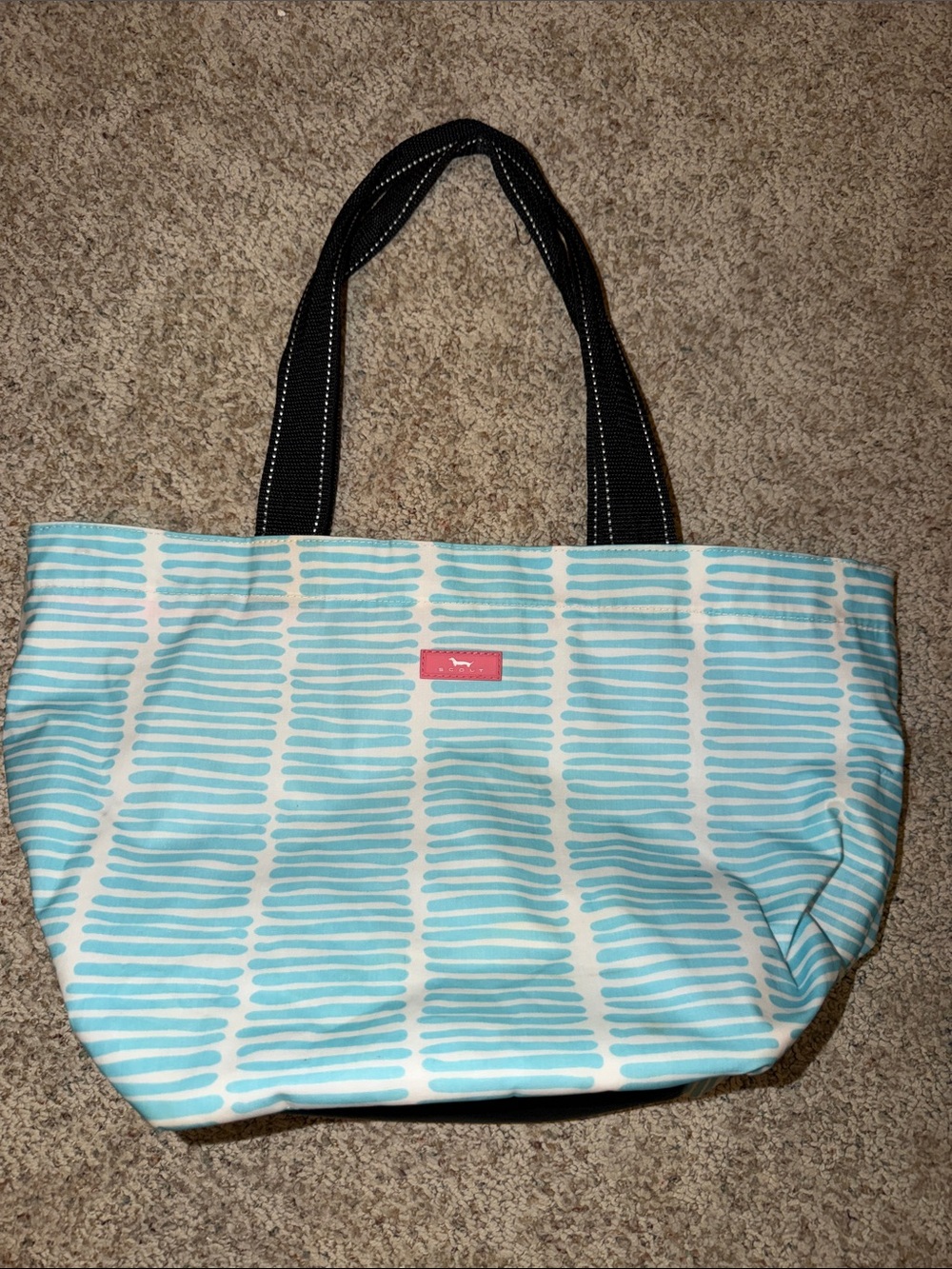 SCOUT Coated Cotton Daytripper Everyday Tote Bag, Big Sky Blue & Hot Pink